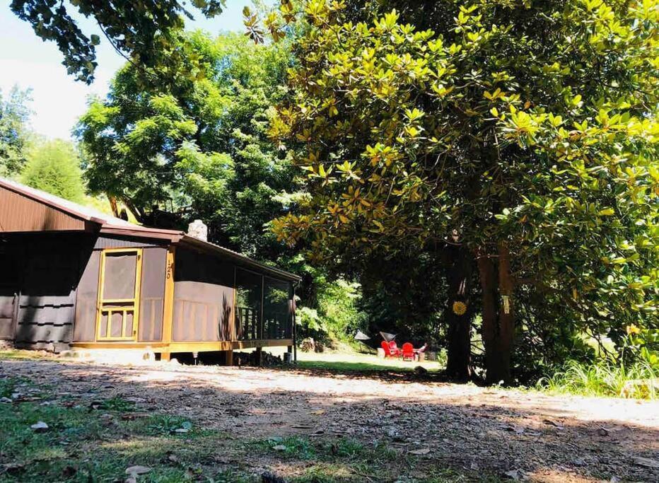 Cabin At The Cove At Watauga Lake Butler Buitenkant foto