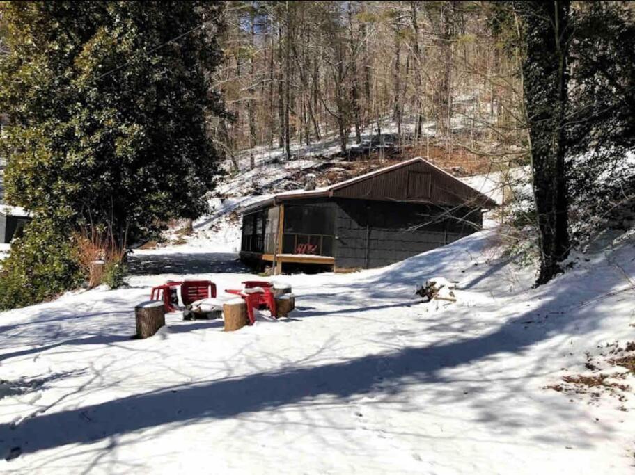 Cabin At The Cove At Watauga Lake Butler Buitenkant foto